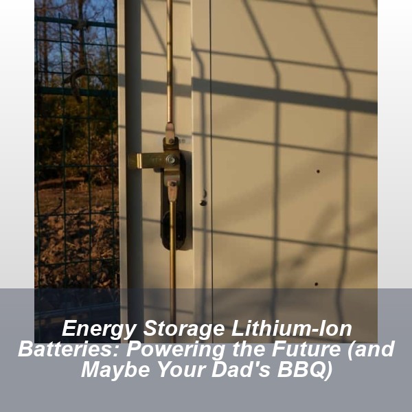 Energy Storage Lithium-Ion Batteries: Powering the Future (and Maybe Your Dad's BBQ)